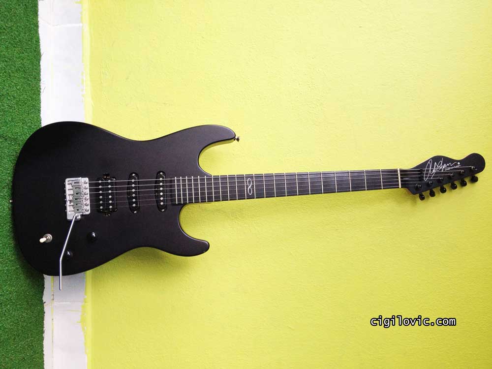 Chapman Guitars, ML1, standing