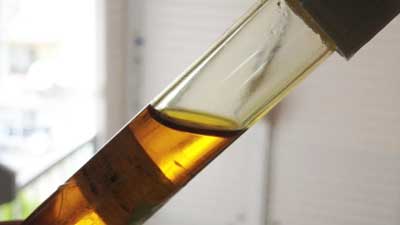 How to Care Guitar Fretboard? Natural Essential Oils