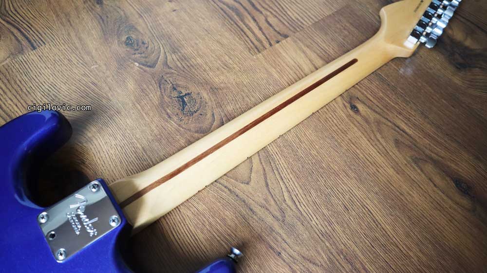 American standard, maple neck