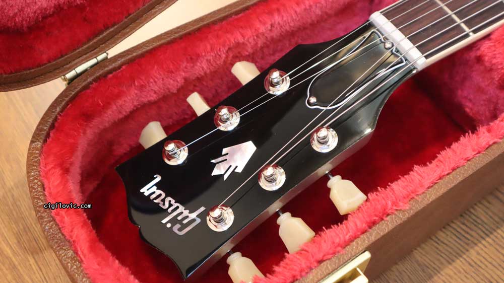 Headstock in the case