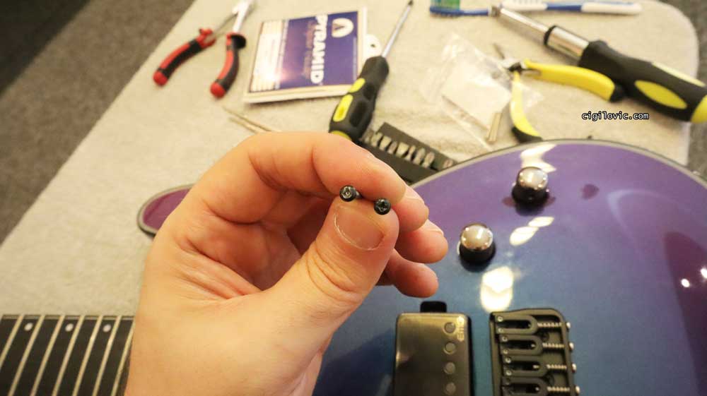 Goldo vs Schecter screws