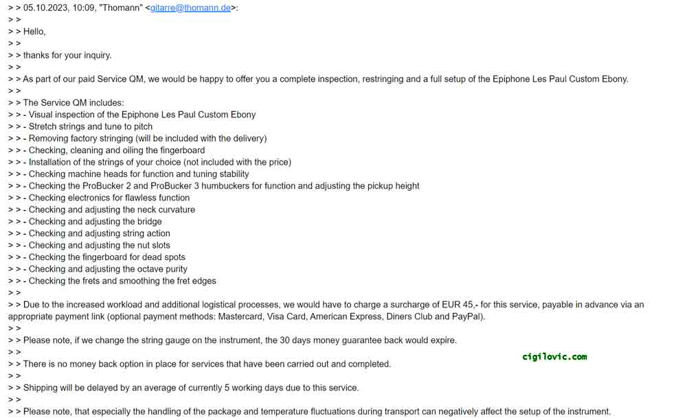 Thomann Guitar Service details