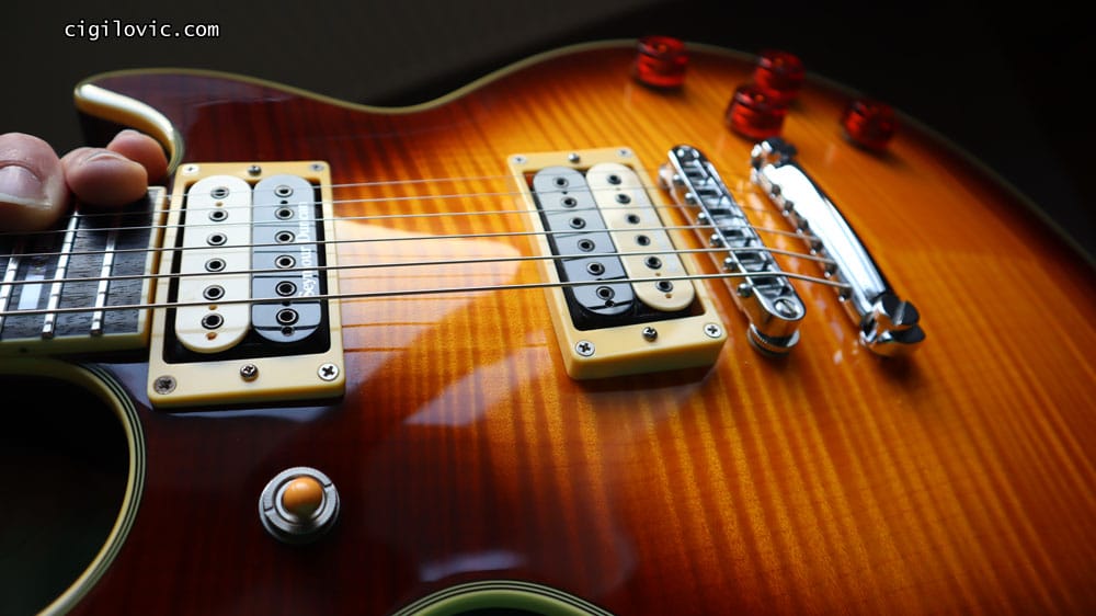 Seymour Duncan Full Shred set, zebra