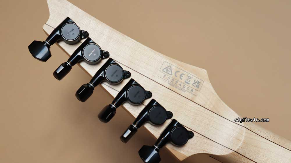 Headstock, back Gotoh tuners