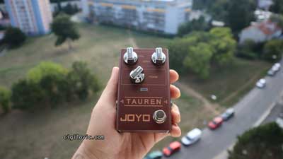 Joyo tauren featured