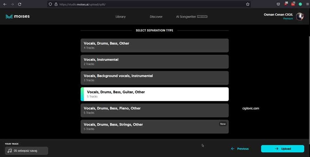 Moises AI Track Separation Type
