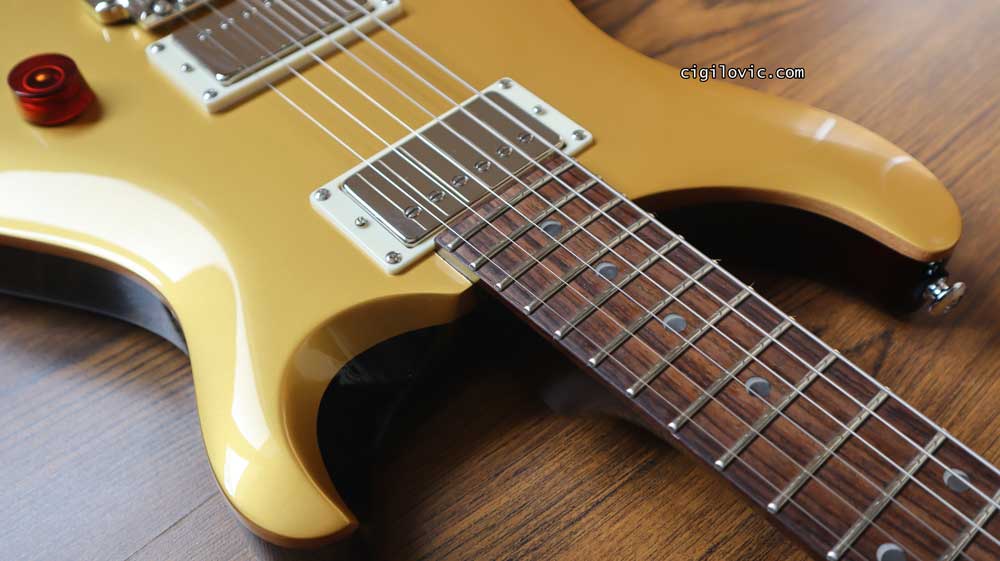 PRS SE DGT - Cut Away PRS SE DGT - Cut Away